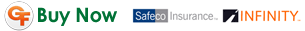 Buy Auto Insurance in Lakeland Florida